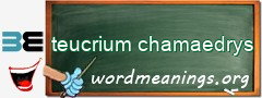 WordMeaning blackboard for teucrium chamaedrys